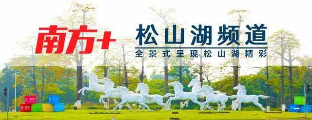 刘炜带队到企石镇调研重大项目建设推进情况