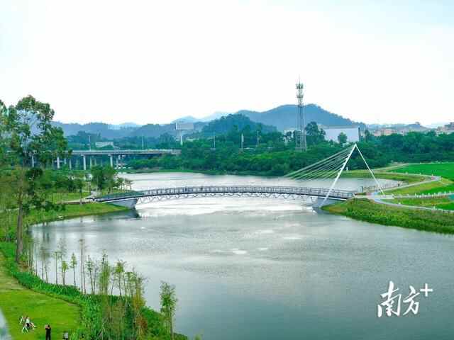 高清靓图｜黄江湿地公园全新升级，快来打卡吧