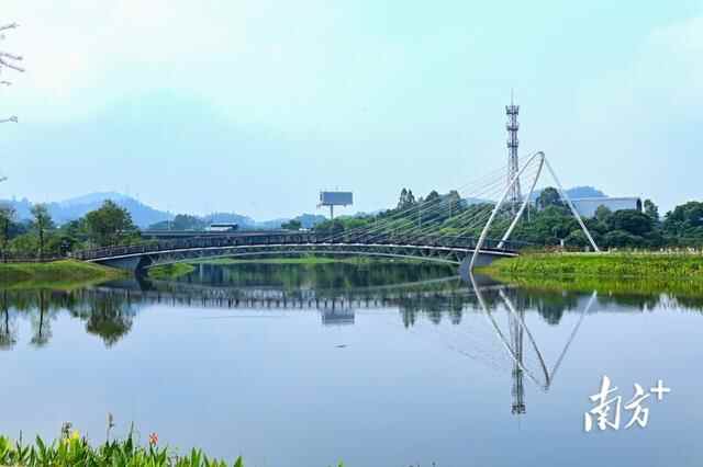 高清靓图｜黄江湿地公园全新升级，快来打卡吧