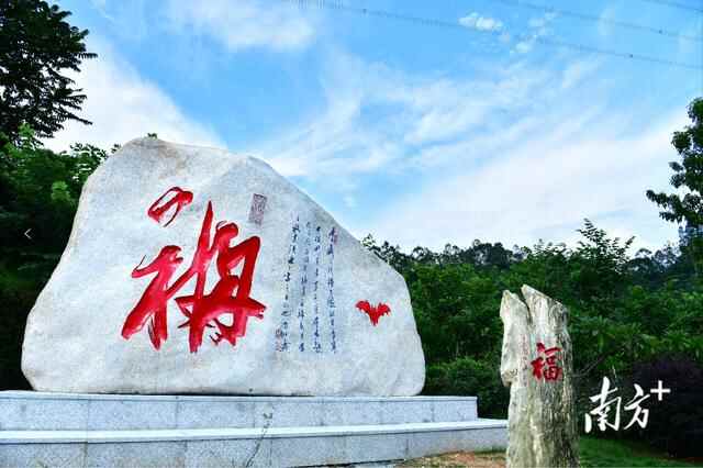 高清靓图｜黄江湿地公园全新升级，快来打卡吧