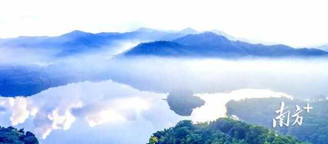 高清靓图｜黄江湿地公园全新升级，快来打卡吧
