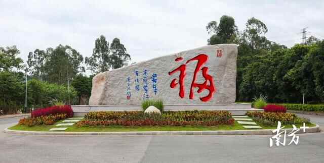 高清靓图｜黄江湿地公园全新升级，快来打卡吧