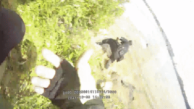 滨江公园有人跳河！石碣这两位sir迅速翻过护栏，冲进河水中