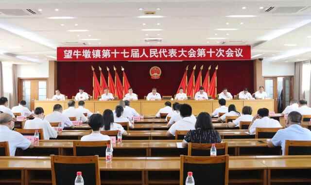 梁志豪当选望牛墩镇人民政府镇长