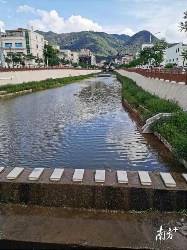 东莞石马河之变④樟木头：破局谋变，构建人水和谐生态新格局