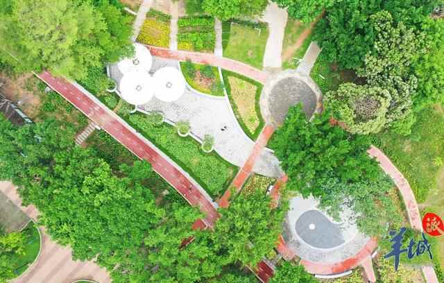 「视频」专访东莞企石镇委书记袁丽群：对标松山湖，以“绣花”功夫推进城市精细化管理