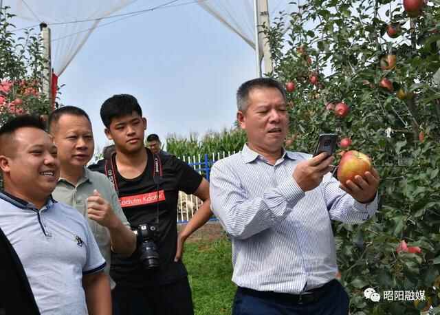 东西部扶贫协作 | 茶山镇党政企考察团到昭阳区考察