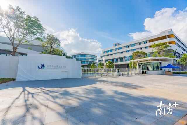 东莞重大项目落地季④｜全年760亿元基础设施民生保障项目上马