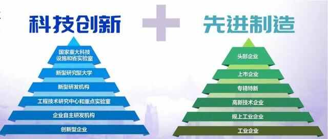 世界级湾区崛起，C位东莞蝶变