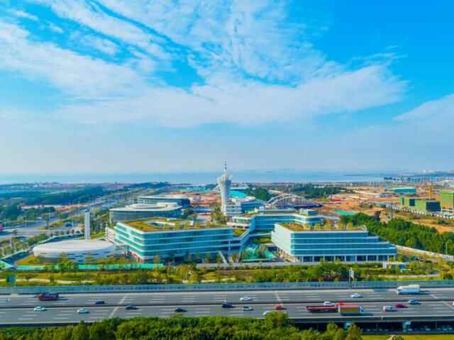 世界级湾区崛起，C位东莞蝶变