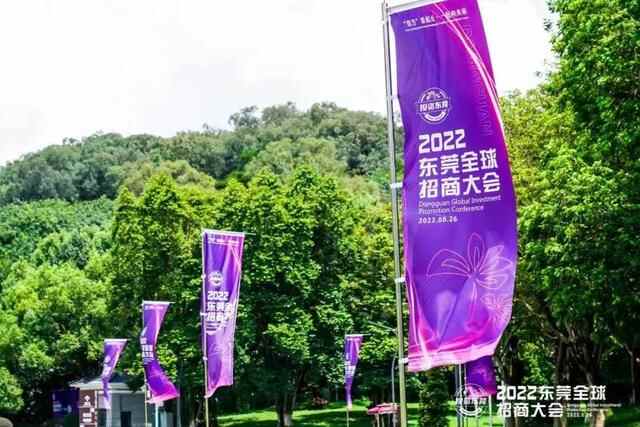 世界级湾区崛起，C位东莞蝶变