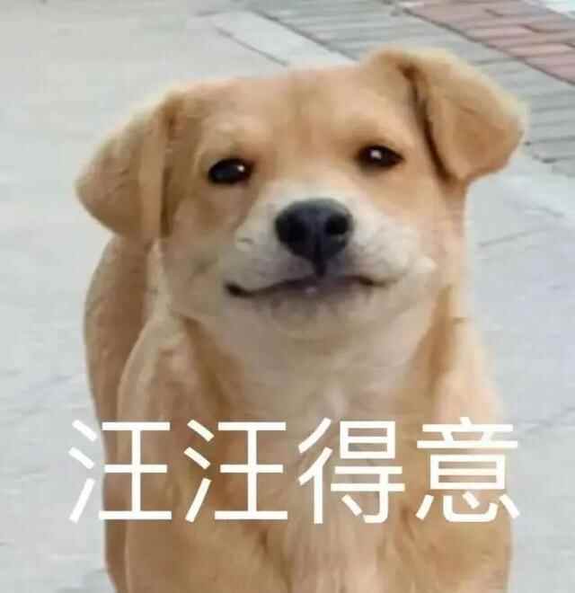 最新！东莞这些项目又有新进展！