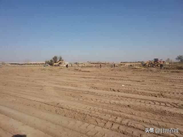 甘州区长安镇：高标准农田建设绘就农业好“丰”景