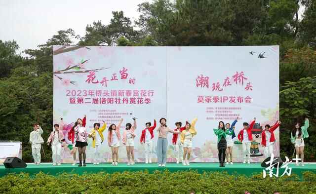 亮点多多！“花开正当时”2023年桥头镇新春赏花行活动启动