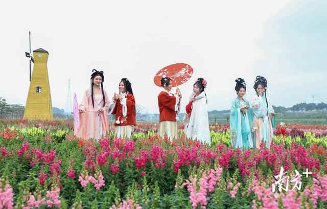 亮点多多！“花开正当时”2023年桥头镇新春赏花行活动启动