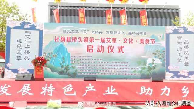 社旗县桥头镇首届艾草·文化·美食节隆重举行