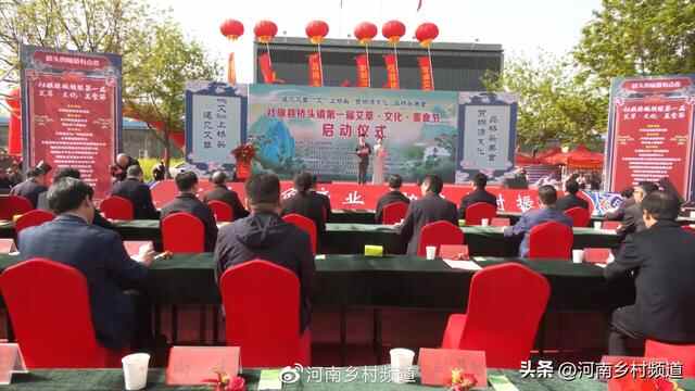 社旗县桥头镇首届艾草·文化·美食节隆重举行