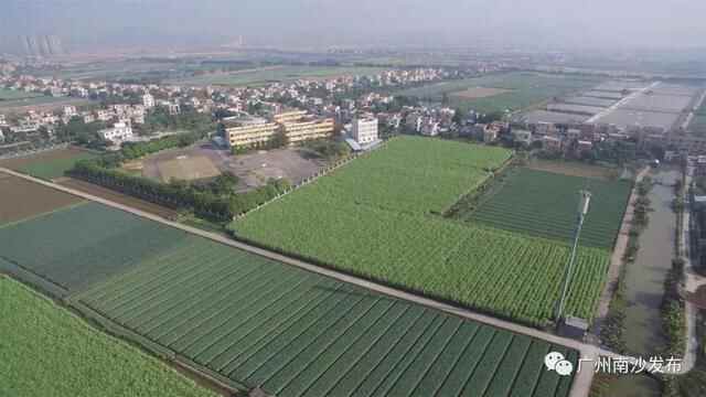 这就是横沥！