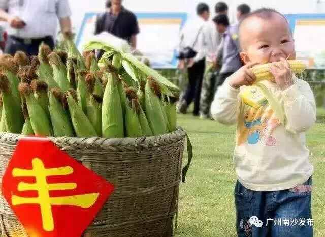 这就是横沥！
