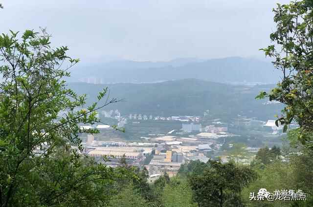 出则宁静，入则繁华——东城街道人居环境优越 将打造宜居“新高地”