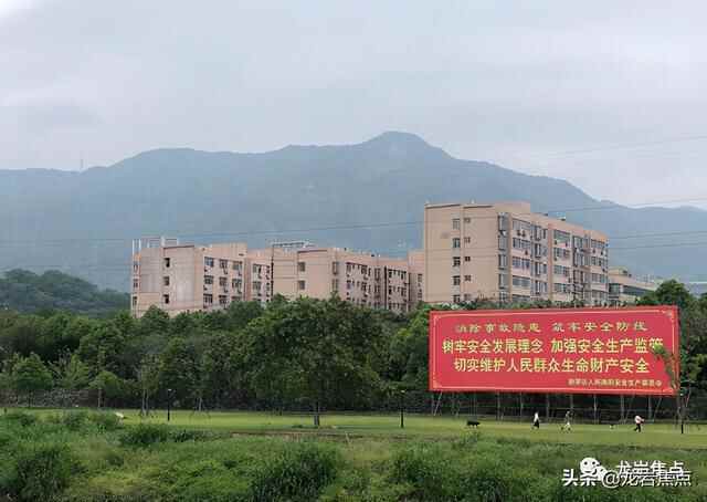 出则宁静，入则繁华——东城街道人居环境优越 将打造宜居“新高地”