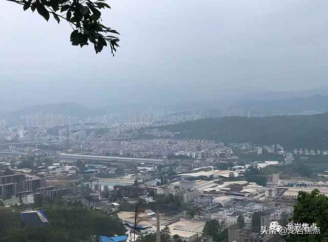 出则宁静，入则繁华——东城街道人居环境优越 将打造宜居“新高地”