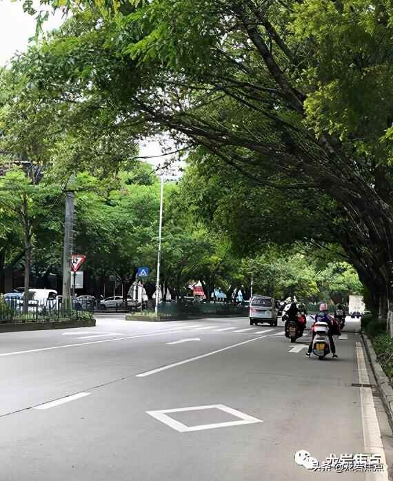 出则宁静，入则繁华——东城街道人居环境优越 将打造宜居“新高地”