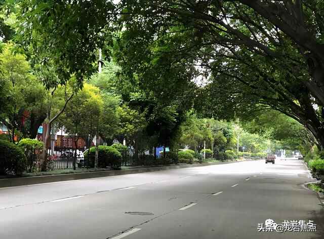 出则宁静，入则繁华——东城街道人居环境优越 将打造宜居“新高地”