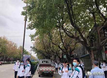 出则宁静，入则繁华——东城街道人居环境优越 将打造宜居“新高地”
