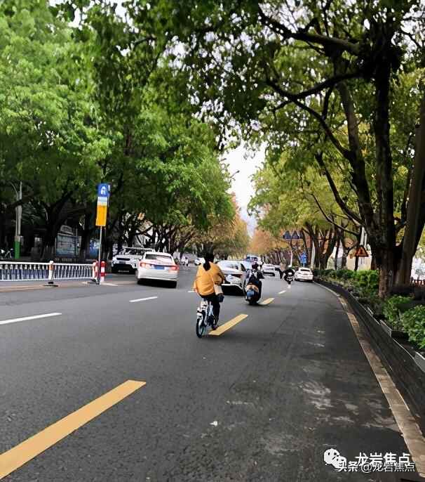 出则宁静，入则繁华——东城街道人居环境优越 将打造宜居“新高地”