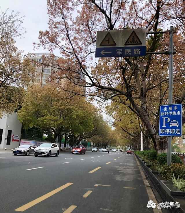 出则宁静，入则繁华——东城街道人居环境优越 将打造宜居“新高地”