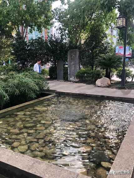 出则宁静，入则繁华——东城街道人居环境优越 将打造宜居“新高地”