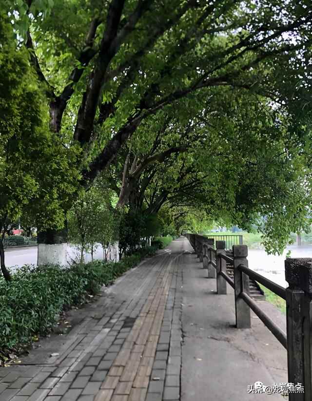 出则宁静，入则繁华——东城街道人居环境优越 将打造宜居“新高地”