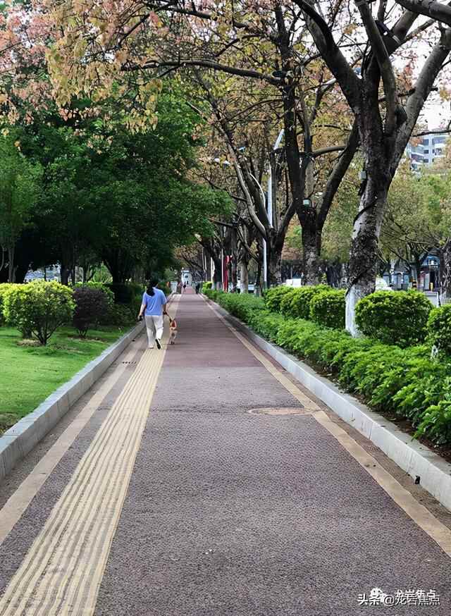 出则宁静，入则繁华——东城街道人居环境优越 将打造宜居“新高地”