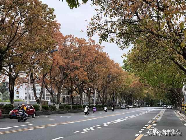出则宁静，入则繁华——东城街道人居环境优越 将打造宜居“新高地”