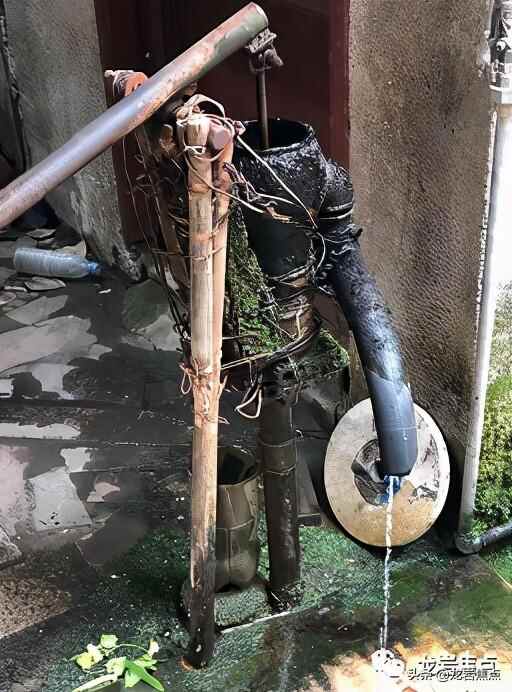 出则宁静，入则繁华——东城街道人居环境优越 将打造宜居“新高地”