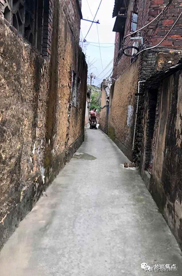 出则宁静，入则繁华——东城街道人居环境优越 将打造宜居“新高地”