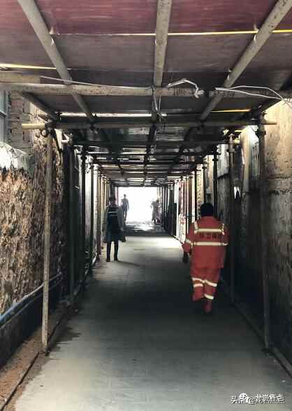 出则宁静，入则繁华——东城街道人居环境优越 将打造宜居“新高地”