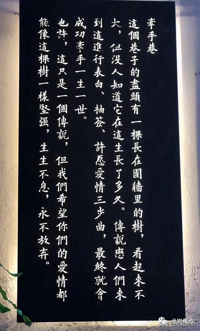 出则宁静，入则繁华——东城街道人居环境优越 将打造宜居“新高地”
