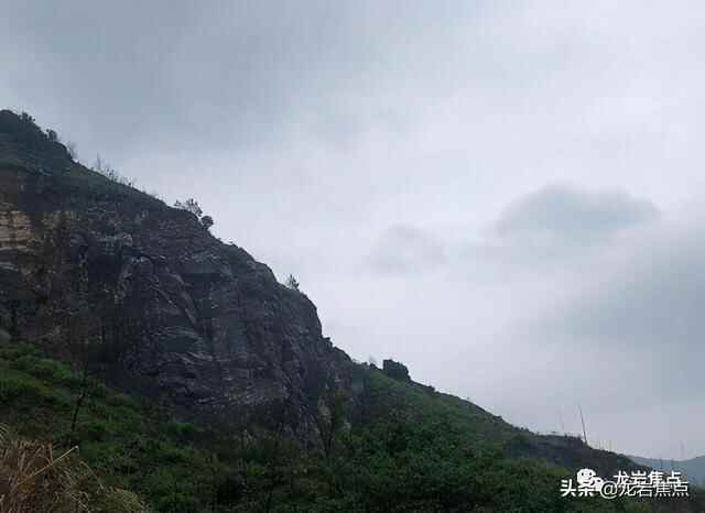 出则宁静，入则繁华——东城街道人居环境优越 将打造宜居“新高地”