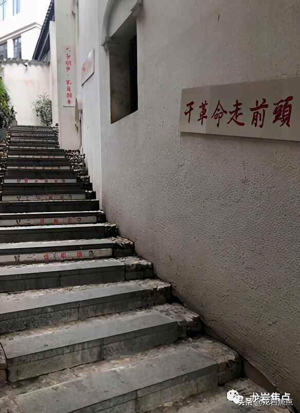 出则宁静，入则繁华——东城街道人居环境优越 将打造宜居“新高地”