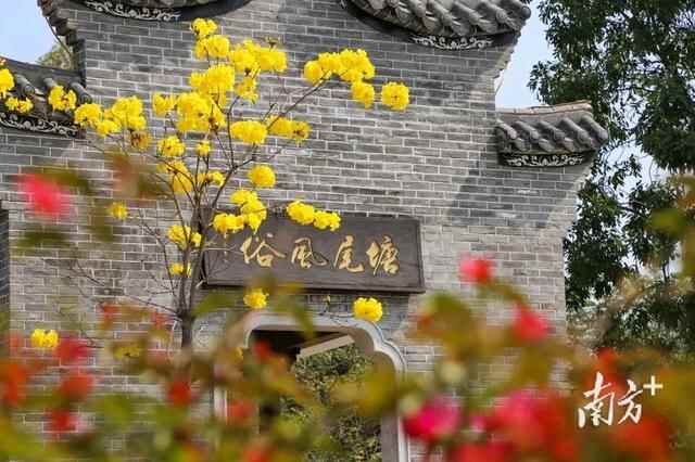 多措并举齐发力，石排镇乡村振兴见成效
