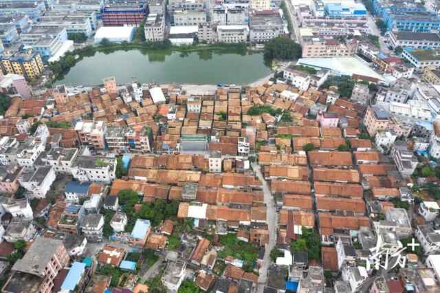 莞乡新貌②|横沥隔坑村：争当领头羊，共建共享幸福隔坑