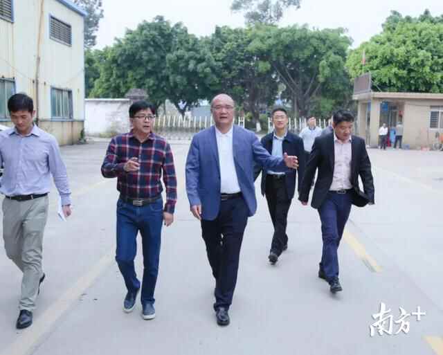 书记带队，麻涌镇领导近期走访调研这些地方