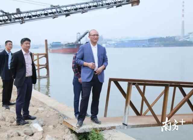 书记带队，麻涌镇领导近期走访调研这些地方