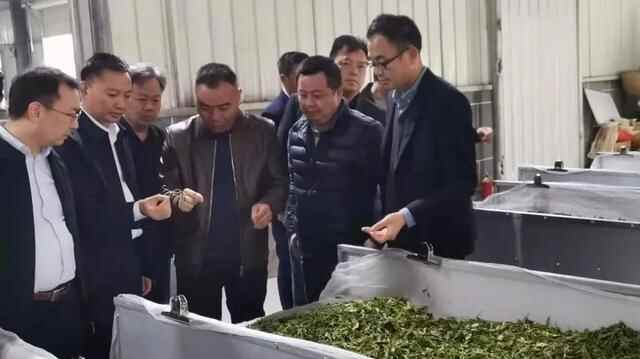 万江街道党政企代表团赴贵州铜仁市石阡县开展东西部协作活动