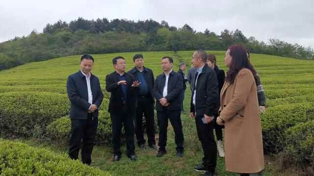 万江街道党政企代表团赴贵州铜仁市石阡县开展东西部协作活动