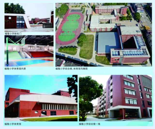 投7000万、名宿助阵，石排“游泳进校园”民生实事启动