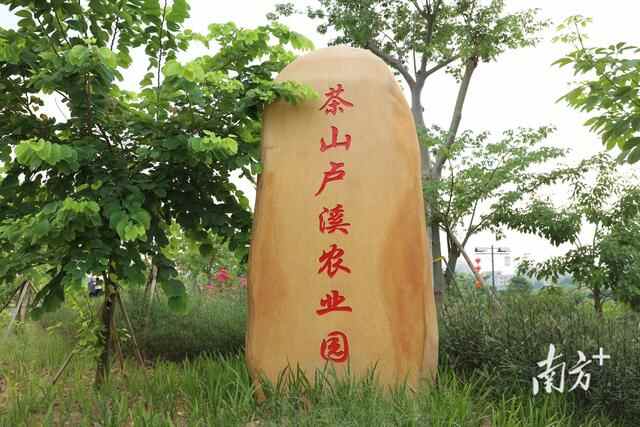 我为群众办实事⑦丨村里更美了，茶山农村人居环境连片整治显成效