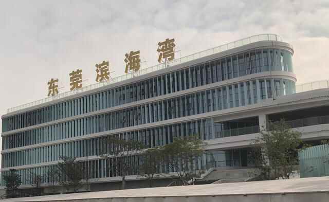 东莞潜力区域：塘厦拥高铁，凤岗临深圳腹地，滨海湾系湾区枢纽